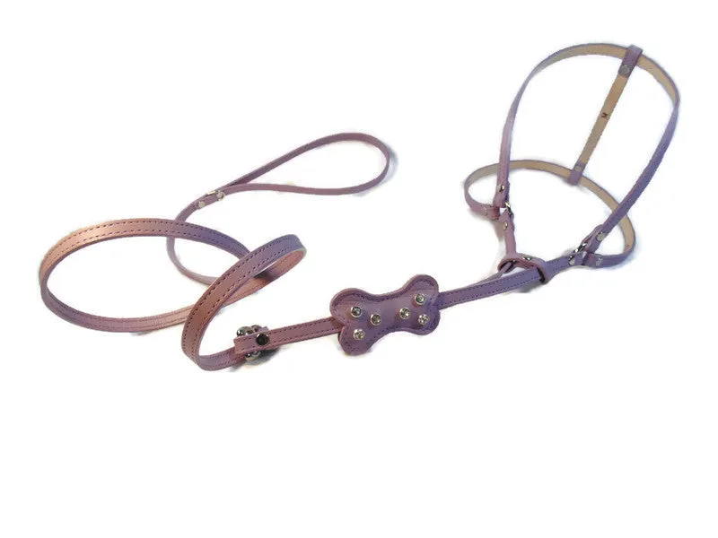 Bone Leather All-In-One Harness with Bone Slider and 6 Austrian Crystals