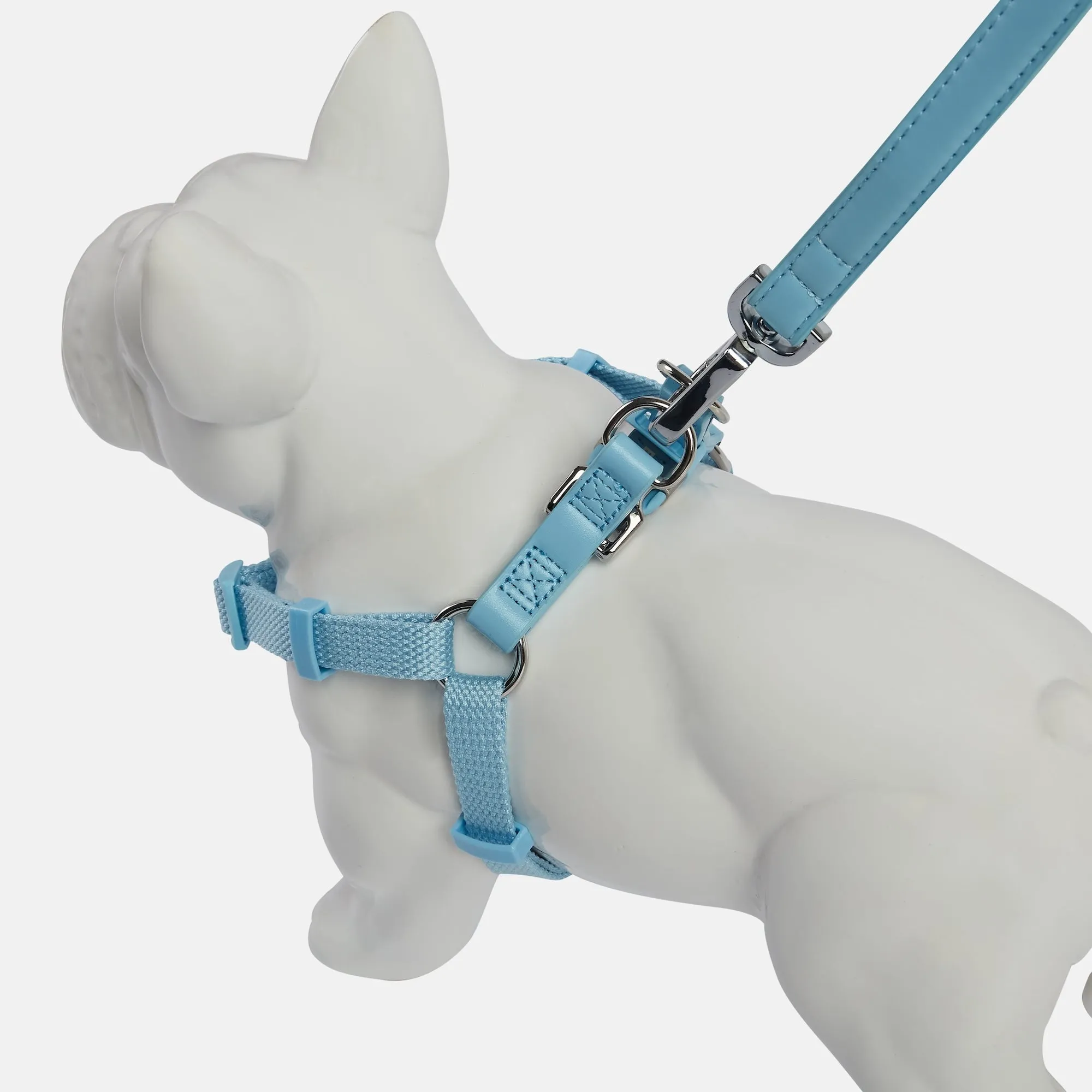 Coastal Blue Dog Harness & Lead Set