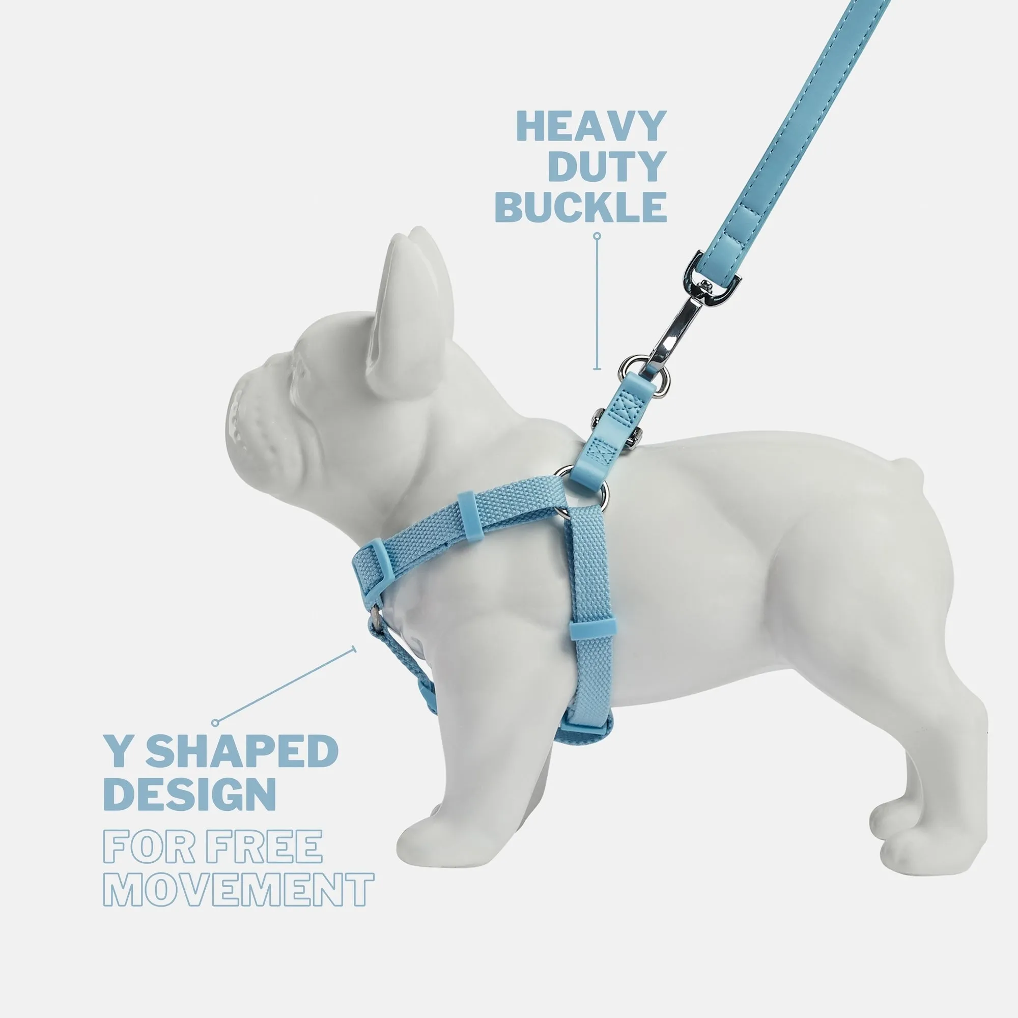 Coastal Blue Dog Harness & Lead Set