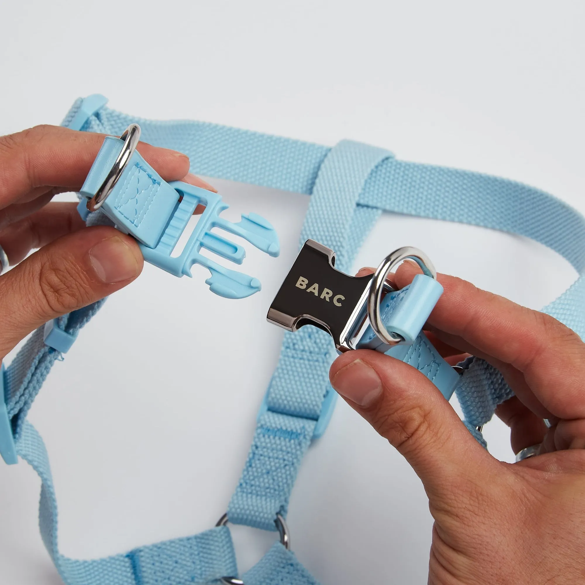 Coastal Blue Dog Harness & Lead Set