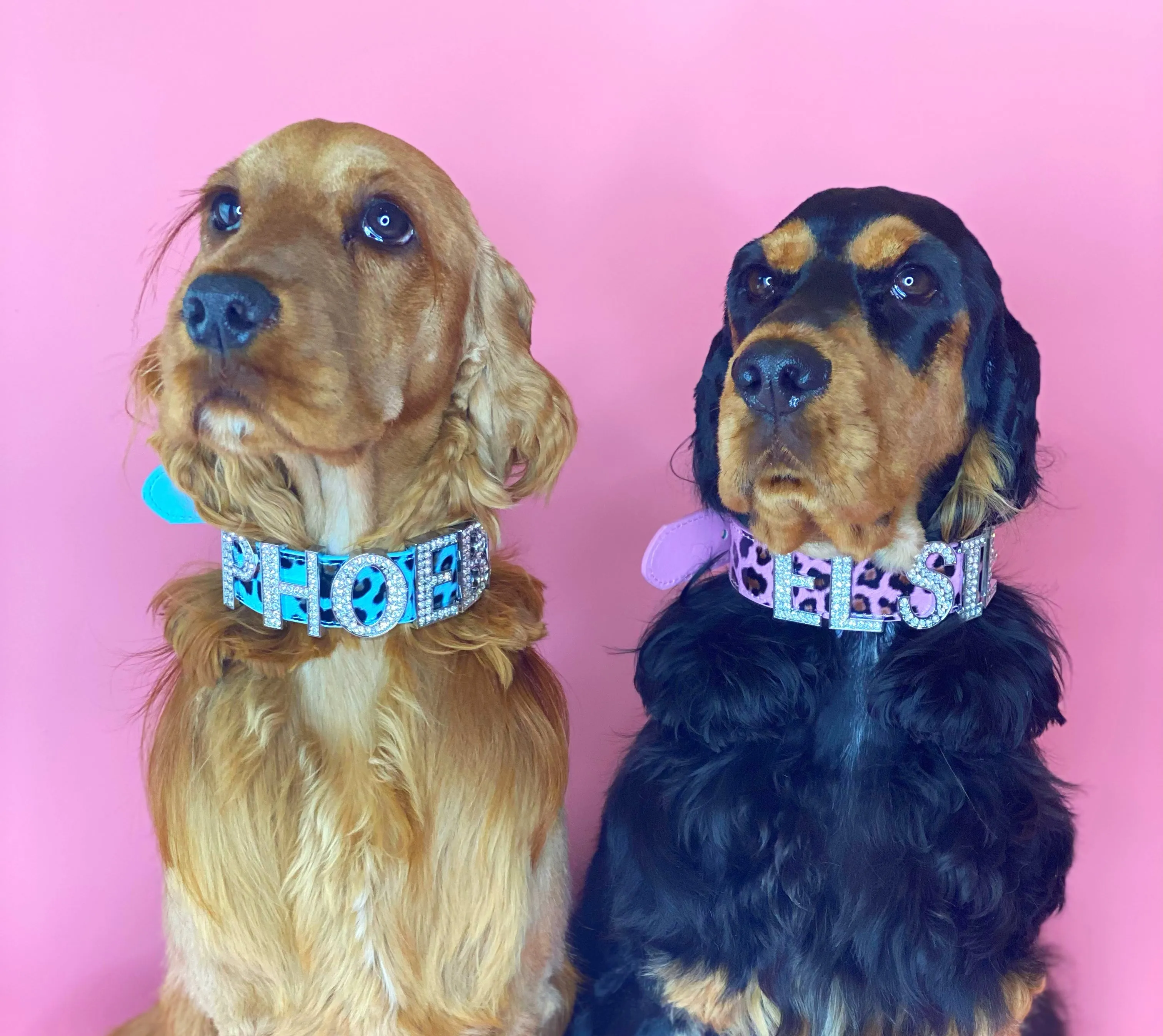 Custom Letters for Personalised Collar - Diamanté