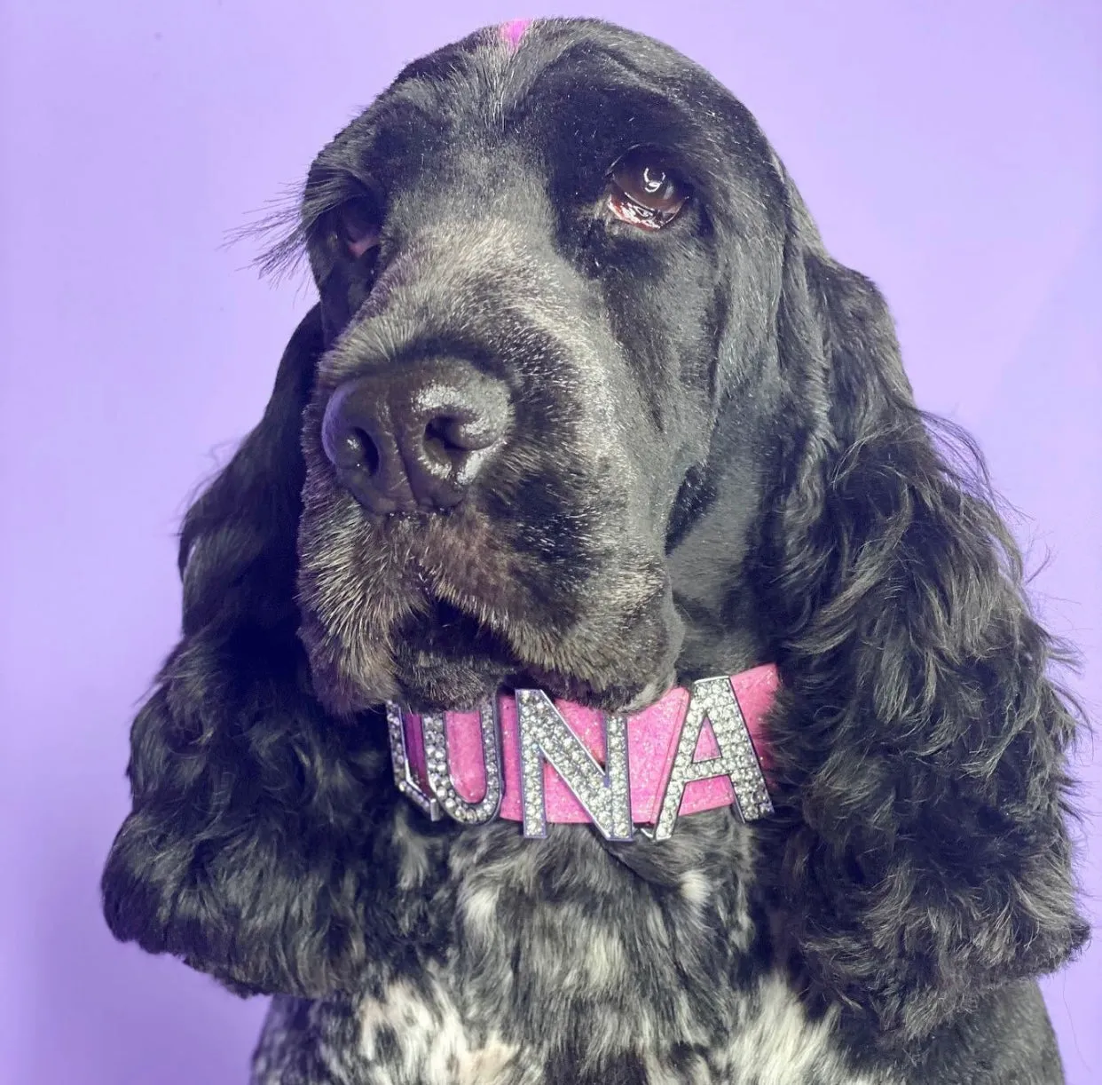 Custom Letters for Personalised Collar - Diamanté