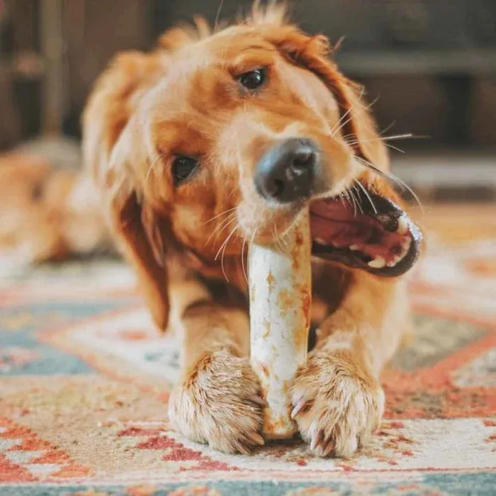 Earth Animal No Hide Beef Dog Chew