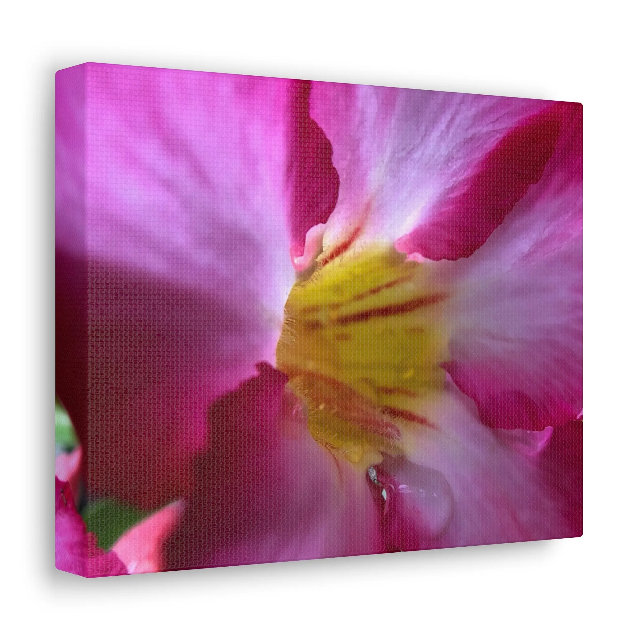 Farmer's Market Art: Pink Orchid