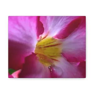 Farmer's Market Art: Pink Orchid