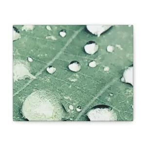 Farmer's Market Art: Rain Drops