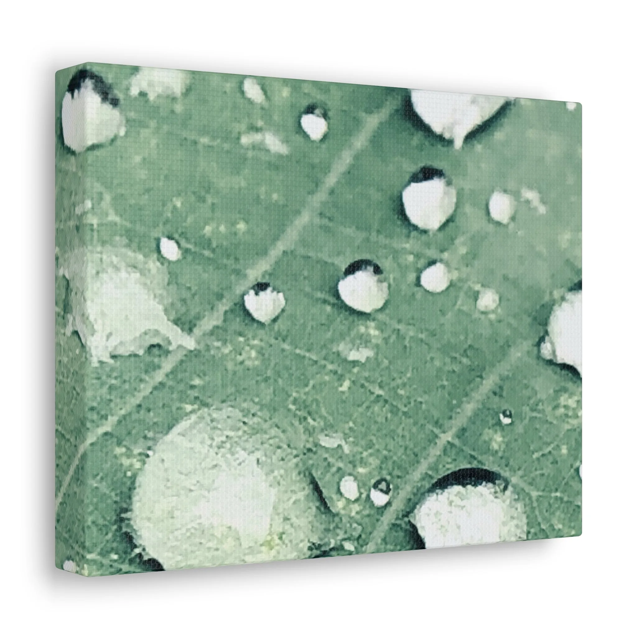 Farmer's Market Art: Rain Drops