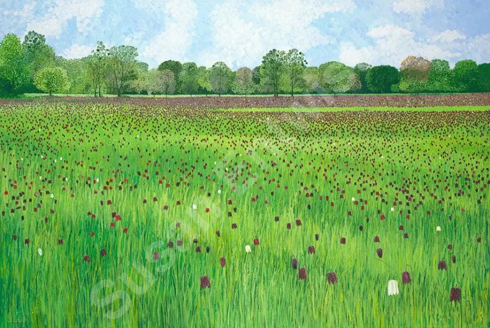 Fritillary Meadow Limited Edition
