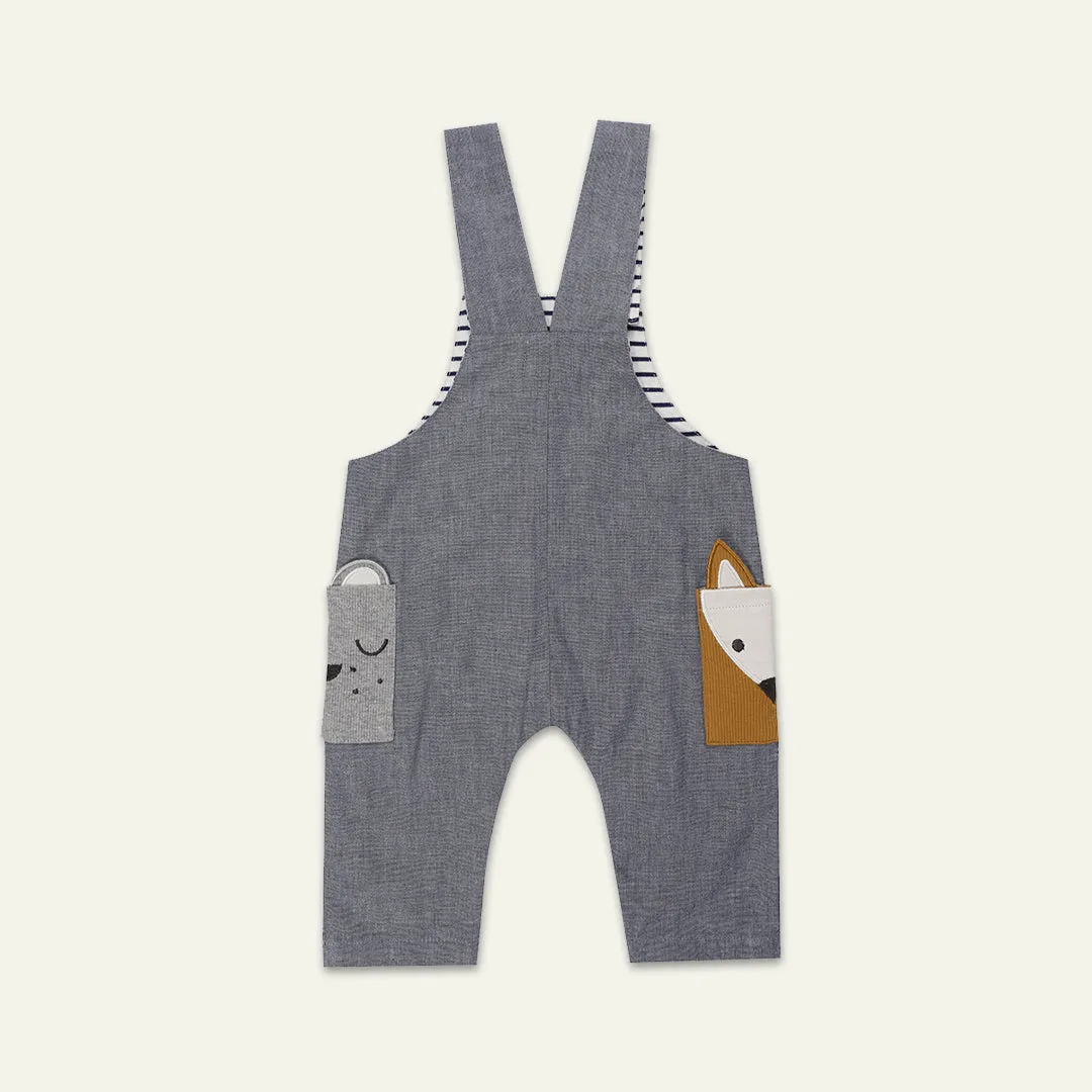 Grey Character Applique Dugarees