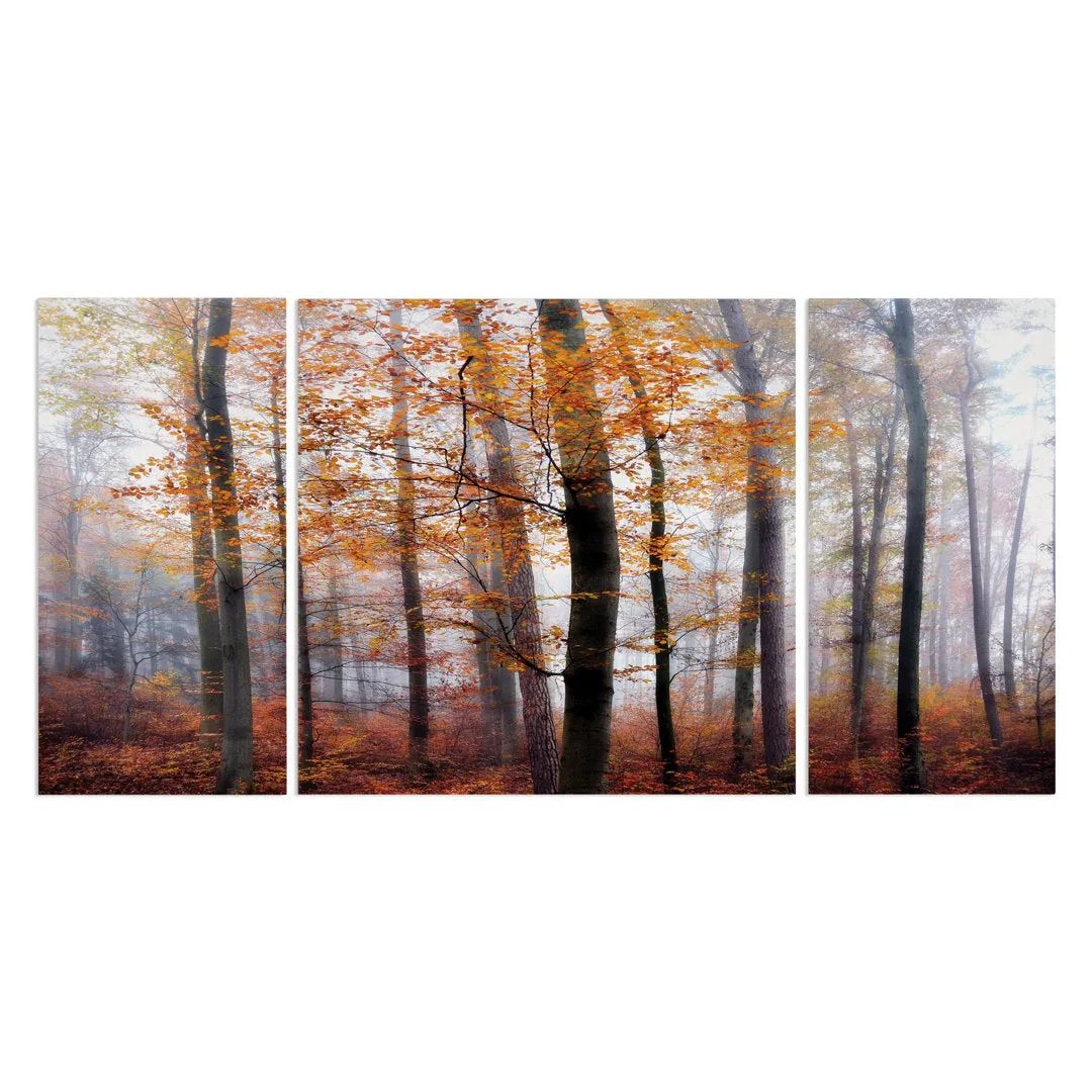 Lost in the Forest - 3 Piece Wrapped Canvas Multi-Piece Image Print Set Alcott Hill® Overall Size: 40" H x 80" W x 1.5" D