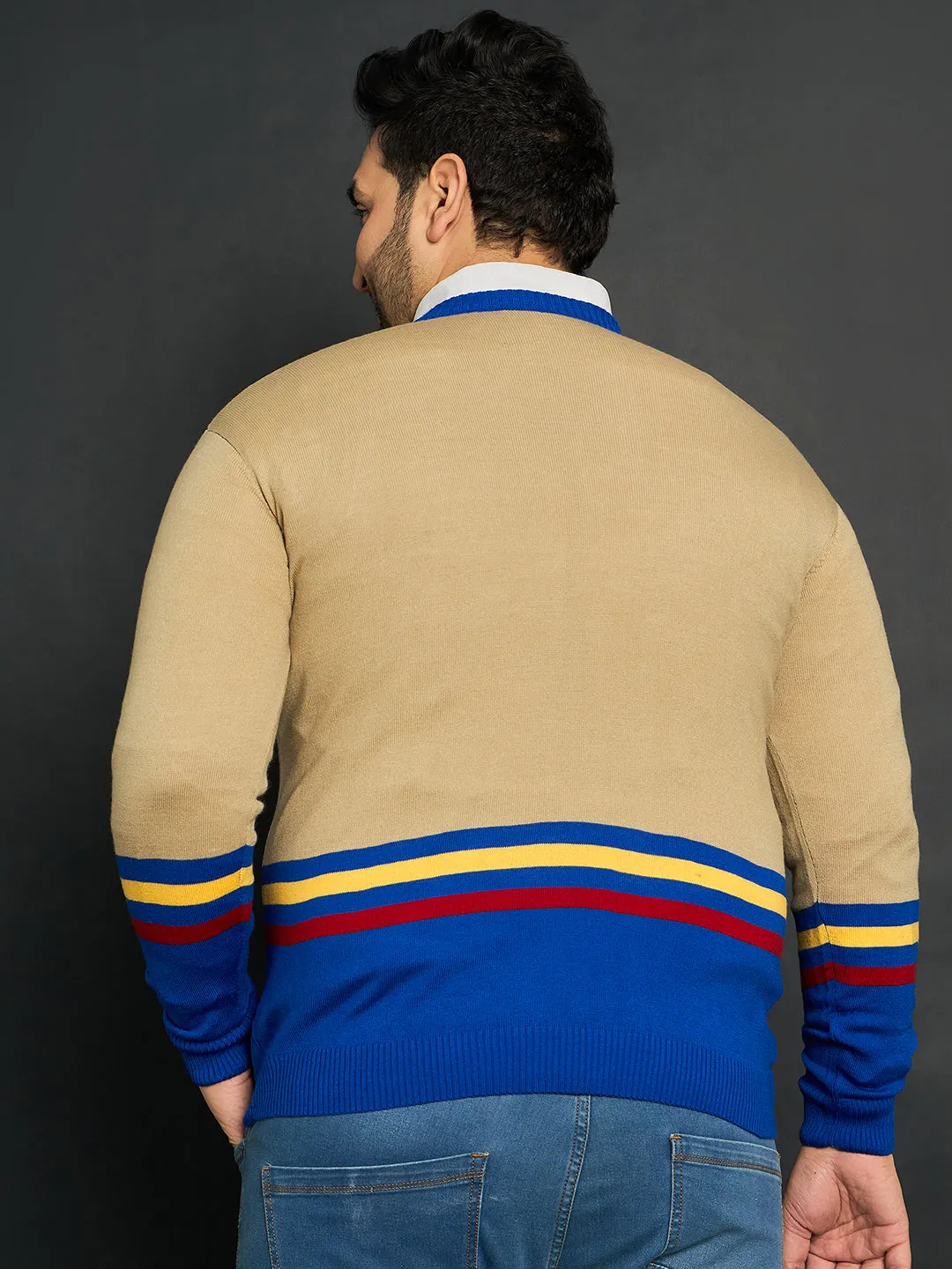 Men Plus Size Bicheno Colourblocked Sweater