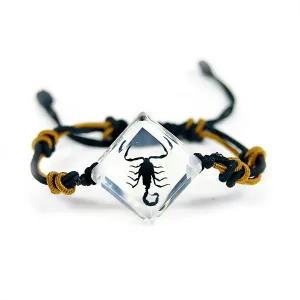 Real Black Scorpion In Clear Resin Diamond Shape Bracelet Real Nature Gifts