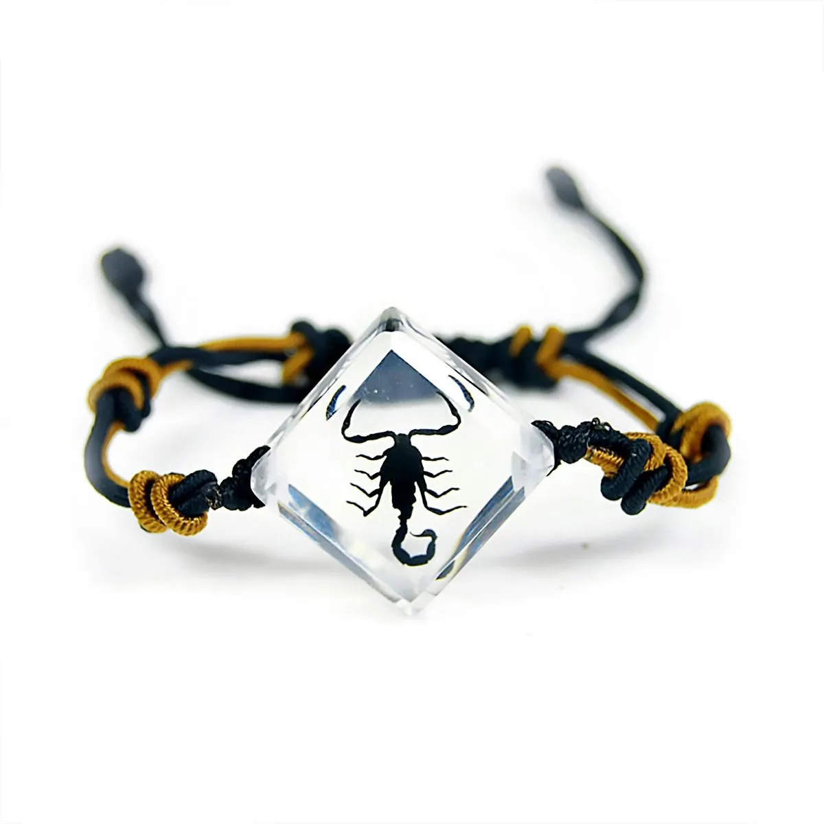 Real Black Scorpion In Clear Resin Diamond Shape Bracelet Real Nature Gifts