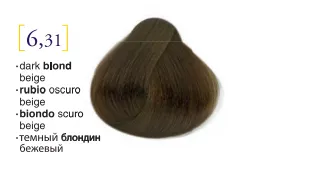 Salerm© Salermvison Professsional 6,31 Dark Blond Beige 2.3oz