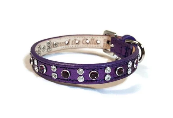 Stella Jewel 2 Tone Cluster Leather Dog Collar