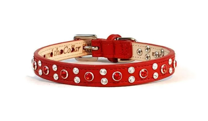 Stella Jewel 2 Tone Cluster Leather Dog Collar