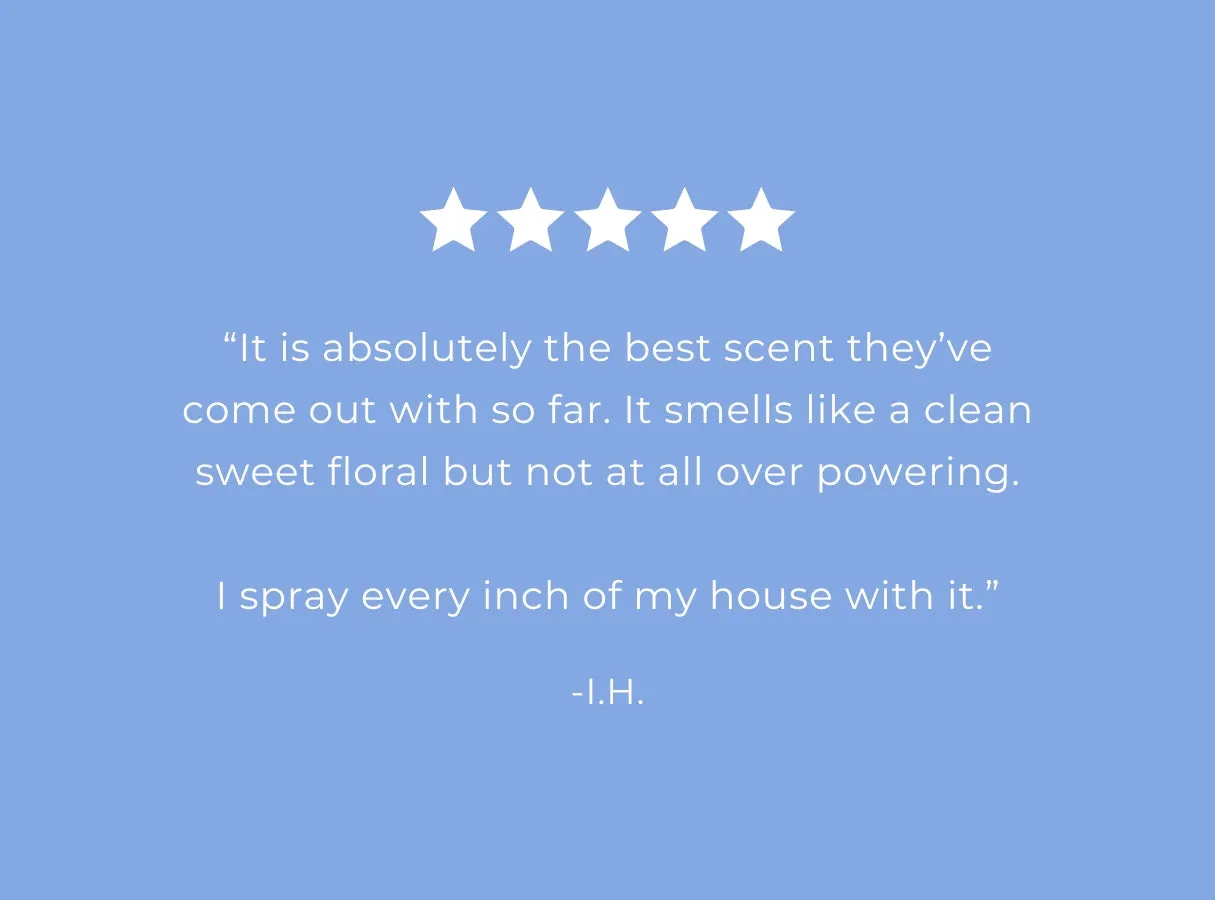 Wildflower Rain Air   Fabric Spray